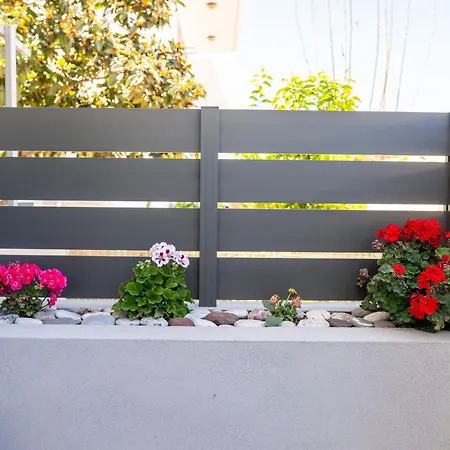 Natalia's Nest Ampavris