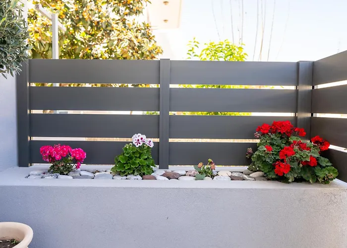 Natalia's Nest Ampavris